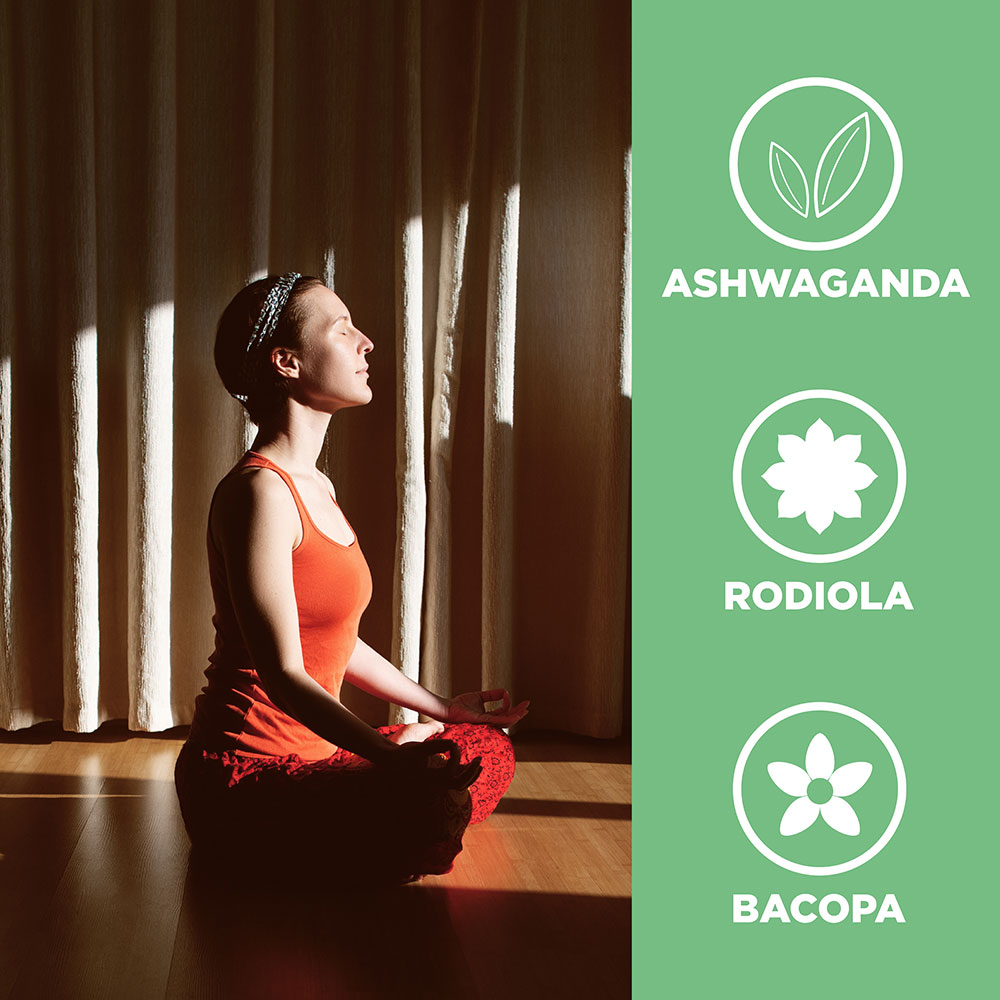 total zen ingredienti